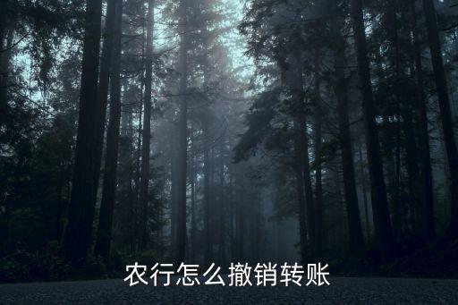農(nóng)行atm機轉(zhuǎn)賬怎么取消，農(nóng)行怎么撤銷轉(zhuǎn)賬