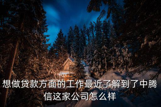 想做貸款方面的工作最近了解到了中騰信這家公司怎么樣