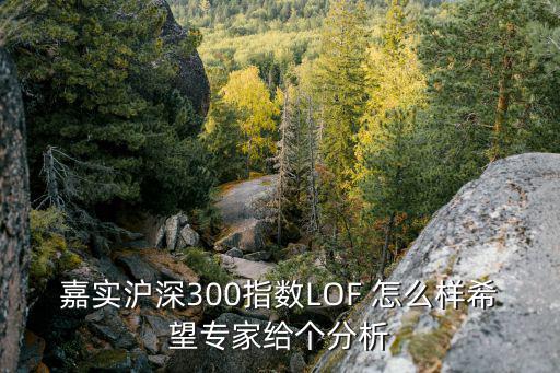 嘉實(shí)滬深300指數(shù)LOF 怎么樣希望專家給個(gè)分析
