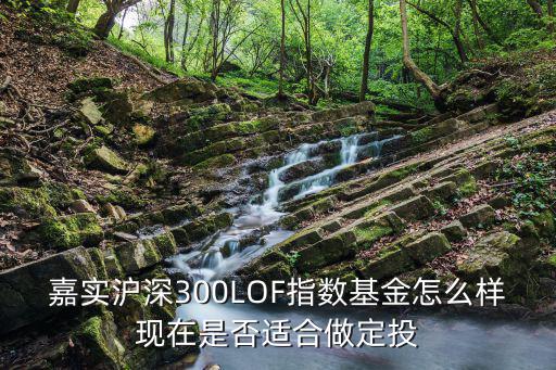 嘉實(shí)滬深300LOF指數(shù)基金怎么樣現(xiàn)在是否適合做定投