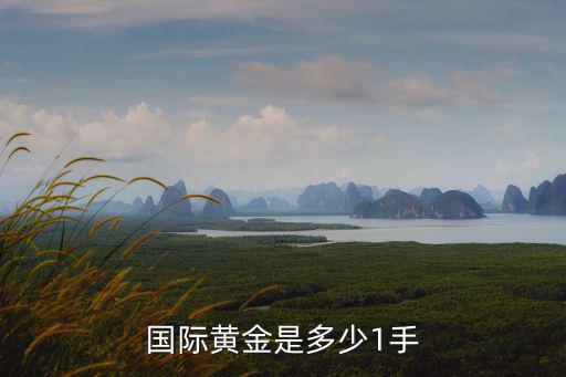 黃金一手怎么算，國際黃金是多少1手