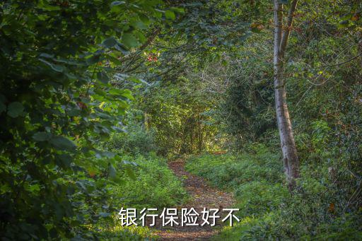 銀行保險(xiǎn)怎么樣，在銀行買(mǎi)的保險(xiǎn)靠譜嗎