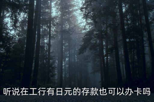 聽說在工行有日元的存款也可以辦卡嗎