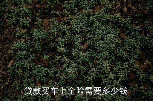 貸款買(mǎi)車上全險(xiǎn)需要多少錢(qián)