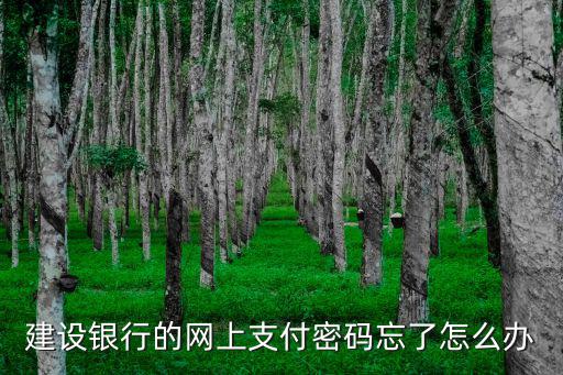 建行忘記交易密碼怎么修改，建行交易密碼忘記了怎么辦