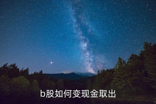 b股怎么賣，我買了軍工B 怎么多了申萬軍工 怎么賣出