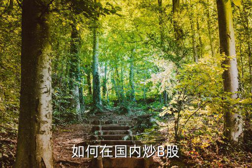 怎么炒b股，怎么樣才能夠炒B股