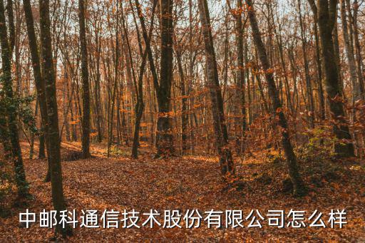 中郵科通信技術(shù)股份有限公司怎么樣
