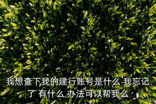 我想查下我的建行賬號是什么 我忘記了 有什么 辦法可以幫我么