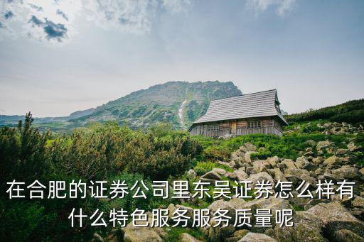 在合肥的證券公司里東吳證券怎么樣有什么特色服務(wù)服務(wù)質(zhì)量呢