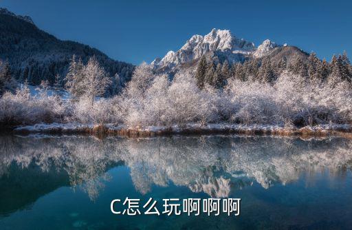 C怎么玩啊啊啊