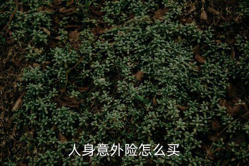 人身意外險怎么買，人身意外險怎么買
