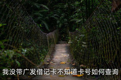 我沒帶廣發(fā)借記卡不知道卡號如何查詢
