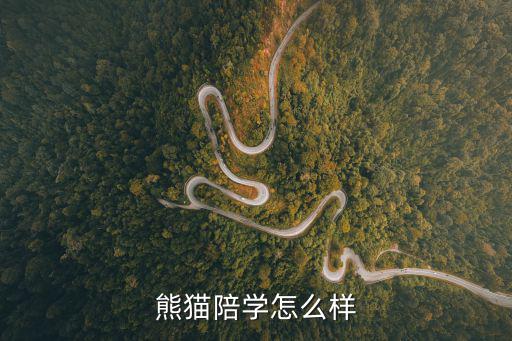 熊貓陪學(xué)怎么樣