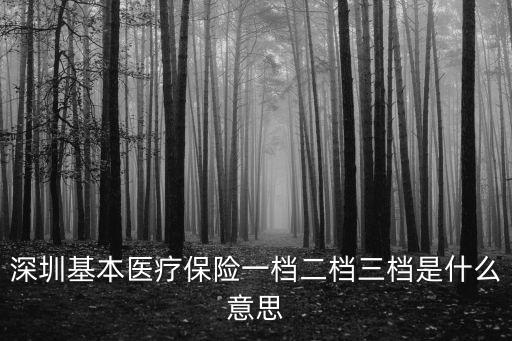 深圳基本醫(yī)療保險一檔二檔三檔是什么意思