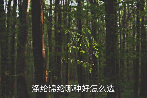 財(cái)路通怎么樣，滌綸錦綸哪種好怎么選
