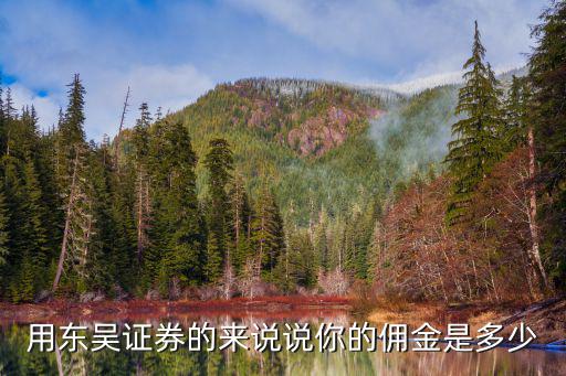 東吳證券傭金怎么改，傭金證券公司能私自調(diào)么