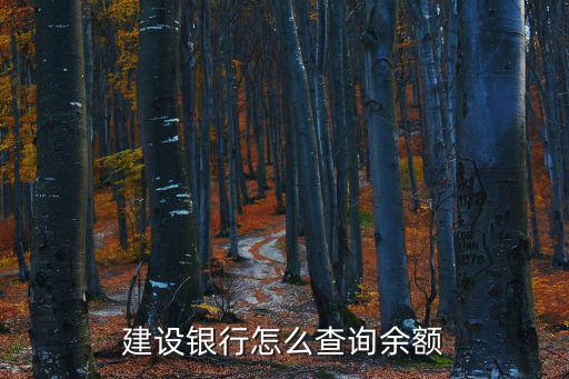 建設(shè)銀行怎么查詢余額