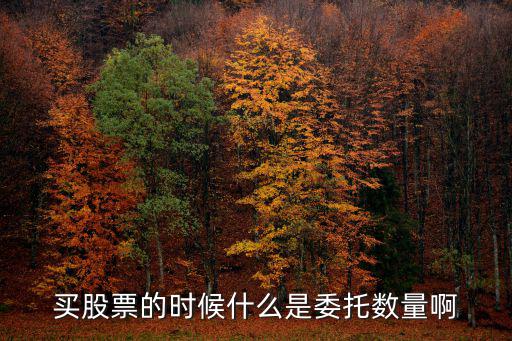 股票委托數(shù)量怎么算，新股申購時股票委托數(shù)量怎么寫要自己計算嗎