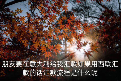 朋友要在意大利給我匯款如果用西聯(lián)匯款的話匯款流程是什么呢