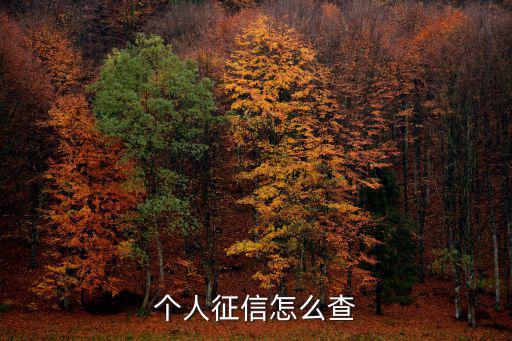 個人征信怎么查