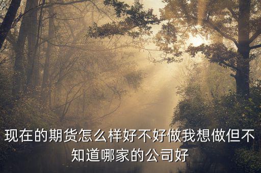 現(xiàn)在的期貨怎么樣好不好做我想做但不知道哪家的公司好