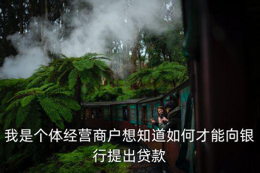 我是個體經(jīng)營商戶想知道如何才能向銀行提出貸款