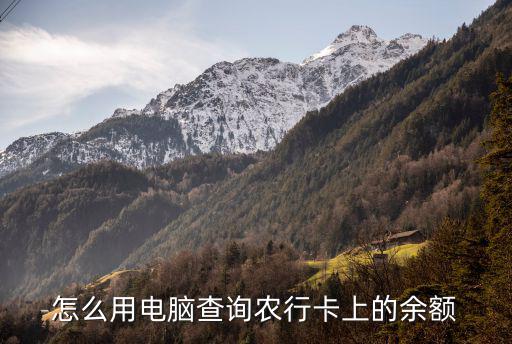 怎么用電腦查詢農(nóng)行卡上的余額