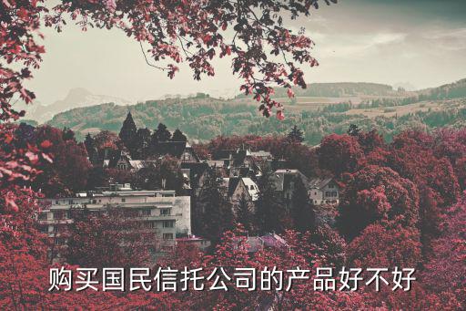 購買國民信托公司的產品好不好