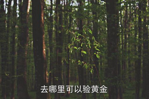 去哪里可以驗黃金
