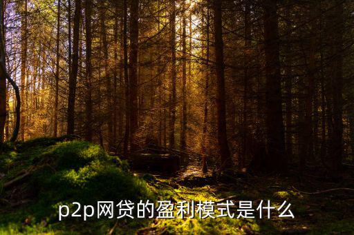 p2p網(wǎng)貸的盈利模式是什么