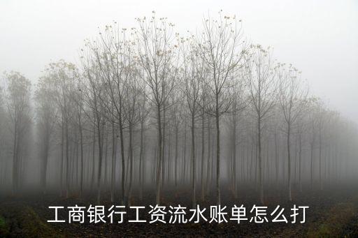 工行還款明細(xì)怎么打，工商銀行工資流水賬單怎么打
