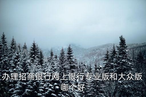 辦理招商銀行網(wǎng)上銀行專業(yè)版和大眾版哪個(gè)好