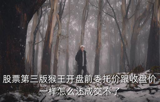 股票第三版猴王開盤前委托價(jià)跟收盤價(jià)一樣怎么還成交不了
