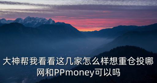 大神幫我看看這幾家怎么樣想重倉(cāng)投哪網(wǎng)和PPmoney可以嗎