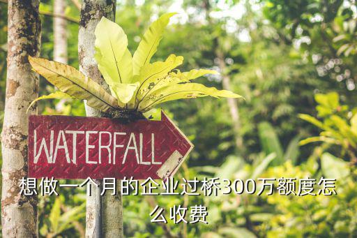 過橋貸款怎么收費(fèi)，想做一個(gè)月的企業(yè)過橋300萬額度怎么收費(fèi)