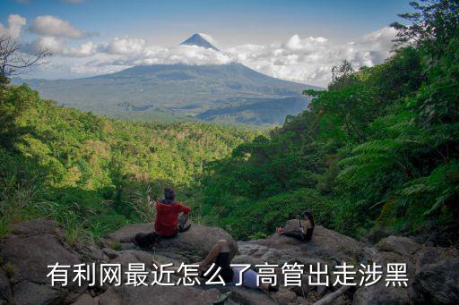 有利網(wǎng)最近怎么了高管出走涉黑