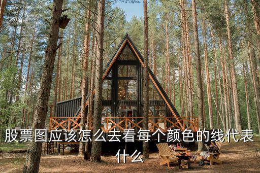 股票圖應(yīng)該怎么去看每個顏色的線代表什么