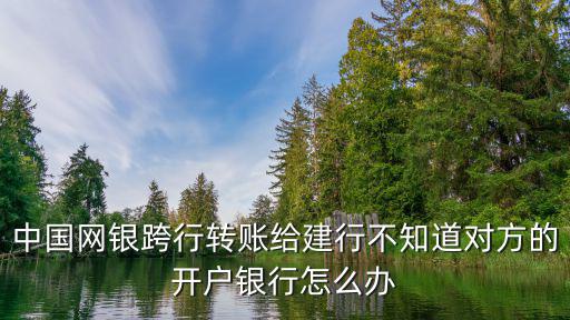 中國網(wǎng)銀跨行轉(zhuǎn)賬給建行不知道對方的開戶銀行怎么辦