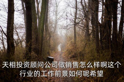 天相投顧怎么樣，天相投顧怎么樣