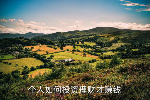個(gè)人如何投資理財(cái)才賺錢(qián)