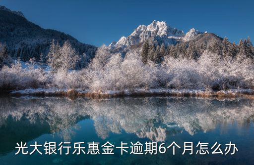 光大分期6個月還怎么辦，光大銀行樂惠金卡逾期6個月怎么辦