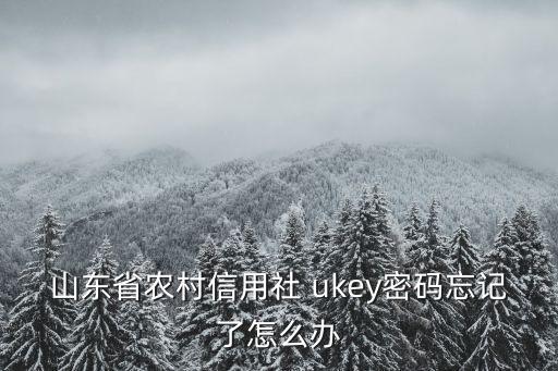 山東省農村信用社 ukey密碼忘記了怎么辦