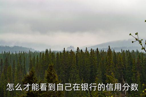 怎么才能看到自己在銀行的信用分?jǐn)?shù)