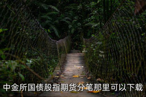 中金所國債股指期貨分筆那里可以下載
