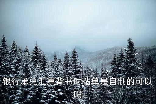承兌粘單怎么制作，承兌的粘單可以自己做嗎