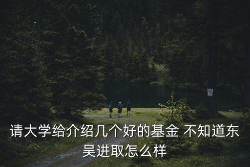 請大學給介紹幾個好的基金 不知道東吳進取怎么樣