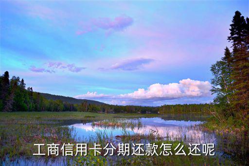 工商匯總分期怎么還，工商信用卡賬單分期怎么弄