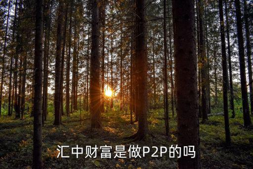 匯中財富是做P2P的嗎