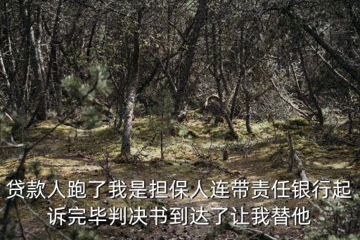 貸款人跑了我是擔(dān)保人連帶責(zé)任銀行起訴完畢判決書到達(dá)了讓我替他